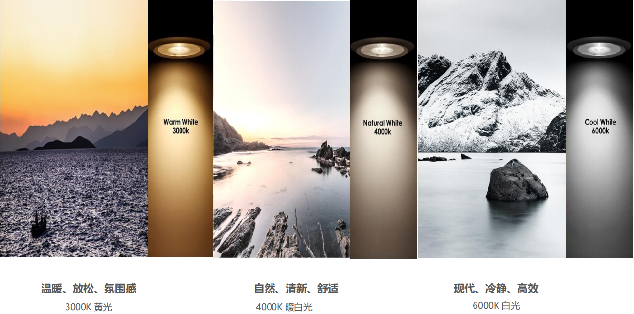 【設計案例】普照國康醫(yī)藥辦公室項目概念設計——以空間敘事，筑品牌基因(圖26)