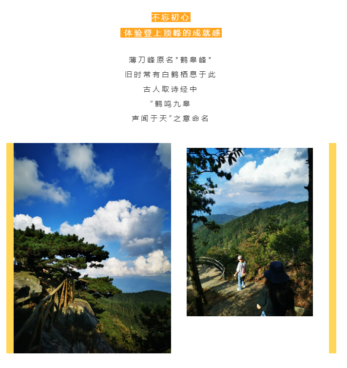 秋天了，來(lái)一場(chǎng)成年人的秋游吧(圖2)