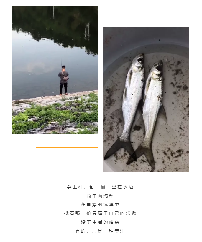 秋天了，來(lái)一場(chǎng)成年人的秋游吧(圖5)