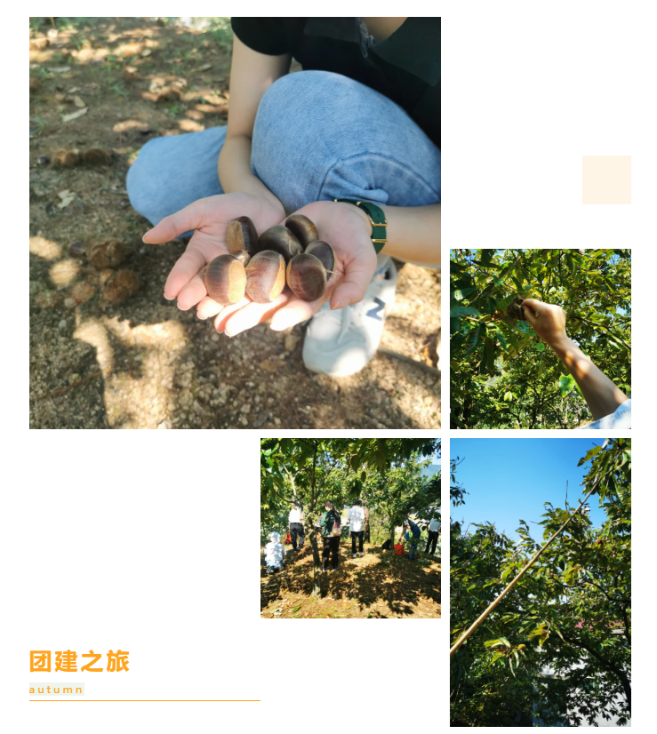 秋天了，來(lái)一場(chǎng)成年人的秋游吧(圖6)